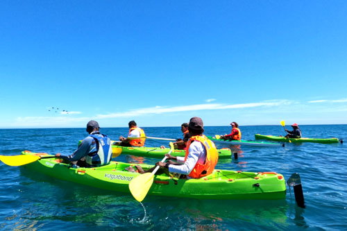 Waterfront Kayaking Image