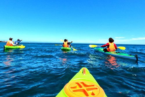 Waterfront Kayaking Image