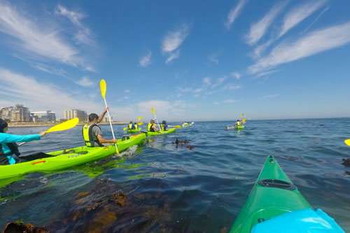 Waterfront Kayaking Image