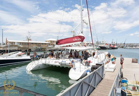 Tigresse Sailing Catamaran Image