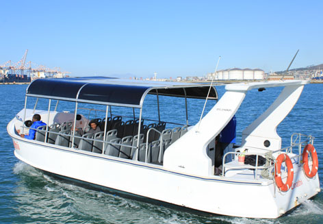 Zinathi Harbour Cruise Image