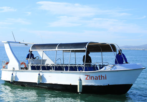 Zinathi Harbour Cruise Image