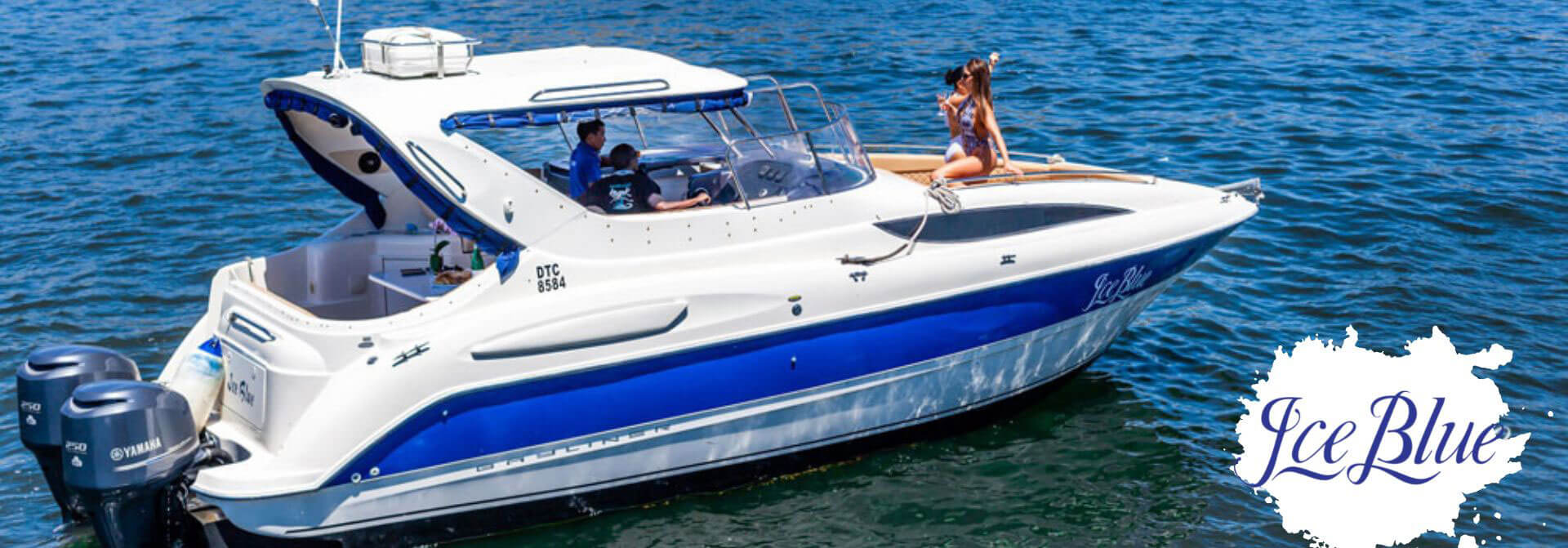 Ice Blue Bayliner Banner Image