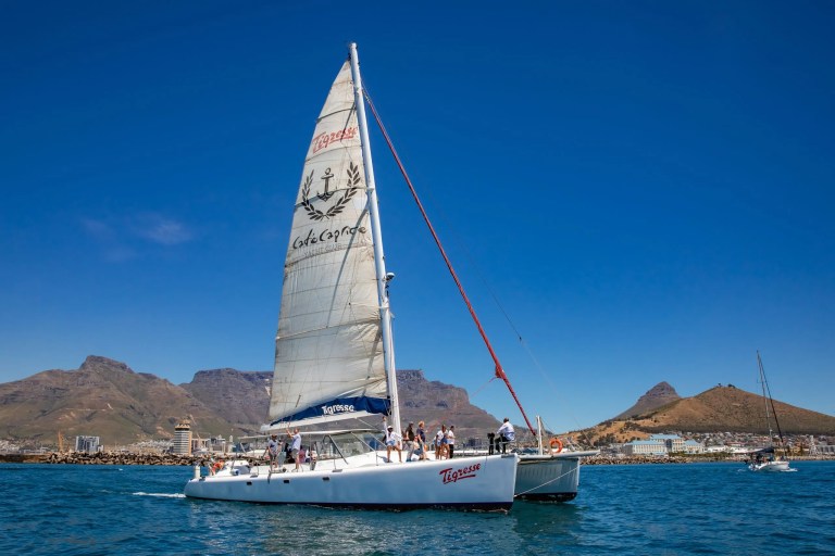 Catamaran sailing in sunny waters with mountains in the background.