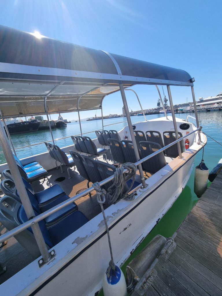 Docked tour boat with blue and white seats under a canopy on a sunny day.
