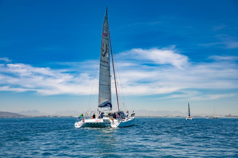 Catamaran sailing on blue ocean under a clear sky.